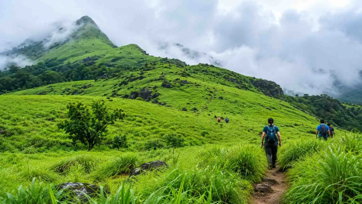 Trek Chembra Peak